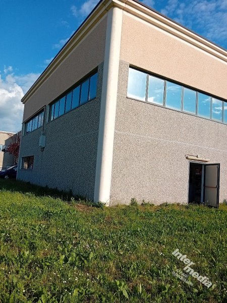 Immagine 2