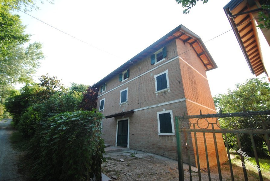 Immagine 2