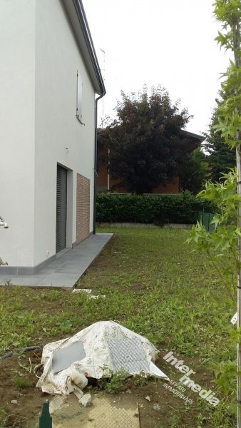 Immagine 1