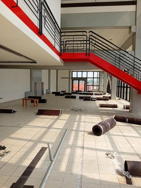 Immagine 2