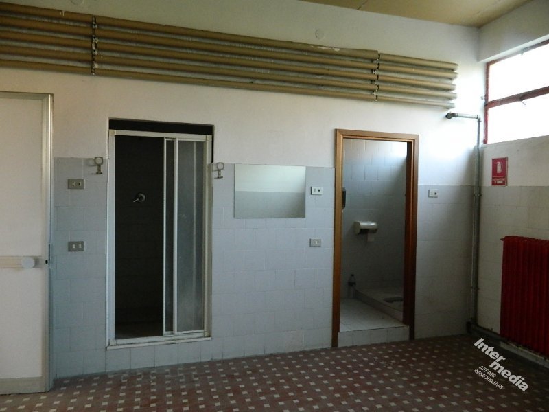 Immagine 2