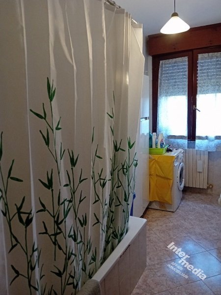 Immagine 6