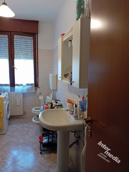 Immagine 7