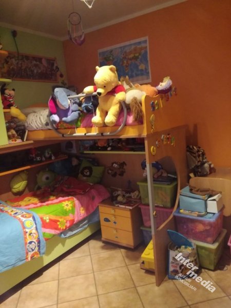 Immagine 6