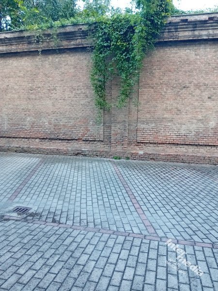 Immagine 2